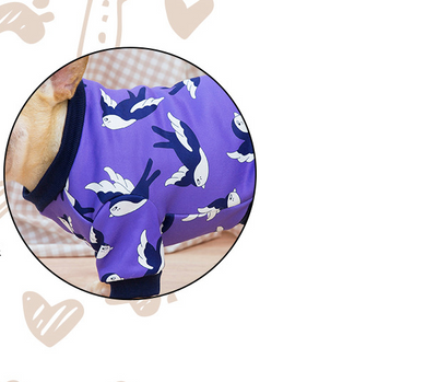 Suéter para Perro Estilo Torero - Abrigo Cálido y Elegante - Image 16