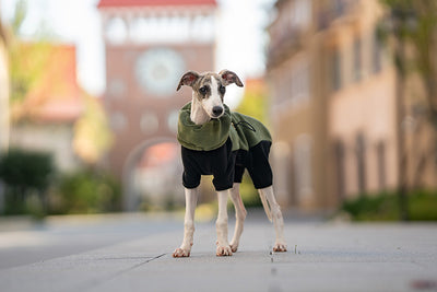 Abrigo Térmico para Mascotas con Cuello Desmontable Resistente al Viento - Image 13