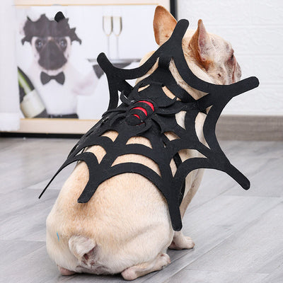 Kit de Transformación Halloween: Disfraz para Mascotas Gato, Perro y Telaraña