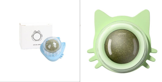 Light blue and light green catnip ball wall toys, shaped like cat faces, with clear domes containing catnip. - Image 13