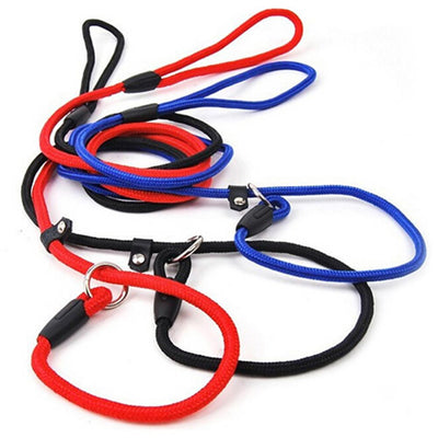 Correa de Nylon para Perro - Resistente y Segura - Image 4