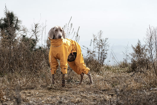 Abrigo Impermeable para Perros Grandes con Cuello Alto y Protección Térmica - Image 15