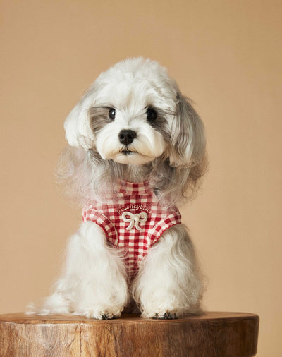 Chaleco Escocés sin Mangas para Perro Maltés y Schnauzer Teddy en Rojo - Image 14