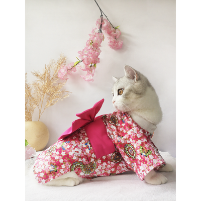 Ropa Cómoda para Perros y Gatos Pequeños - Image 5