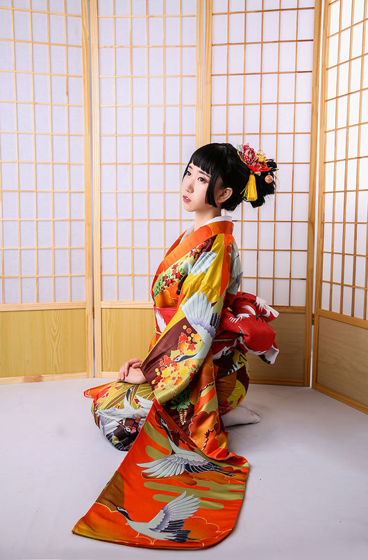 Kimono Formal Nubes Auspiciosas y Grúas - Diseño Tradicional Jinxiutu - Image 5
