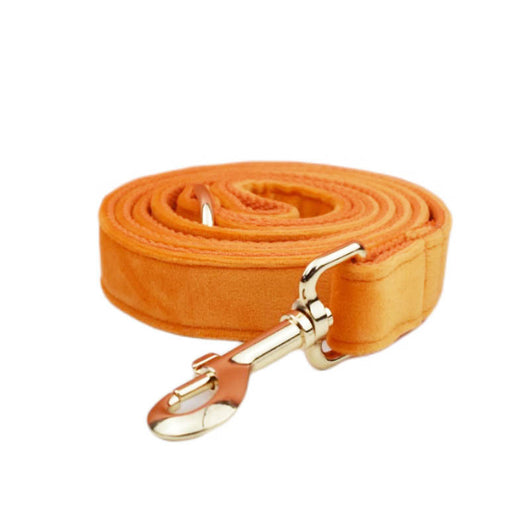 Collar de Terciopelo para Perros - Suave y Elegante - Image 13
