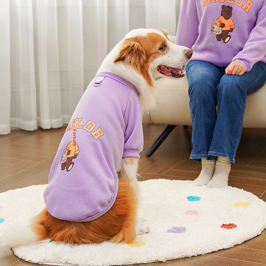 Large dog wearing a teal fleece-lined sweatshirt with 'BAYLOR' text and a bear graphic on the back. - Image 8