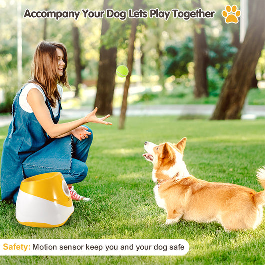 Lanzador Automático de Pelotas para Perros - Juguete Interactivo para Exteriores - Image 5