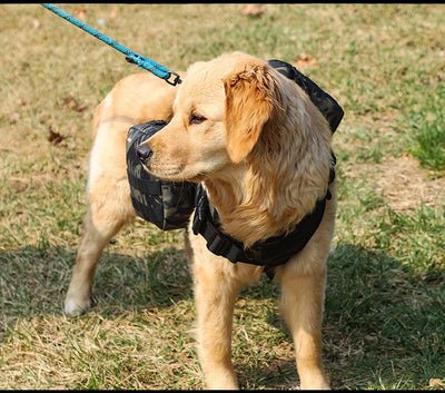 Pack de Snacks para Perros Medianos y Grandes - Variedad Completa - Image 18