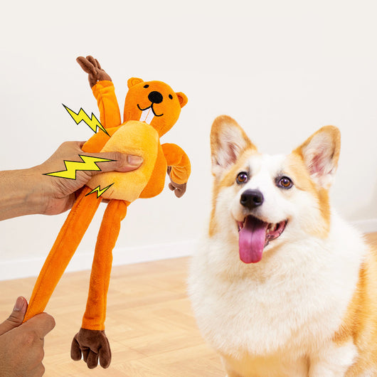 Juguete Interactivo para Perros con Cuerda - Ideal para Tirar, Morder y Entretenimiento - Image 4