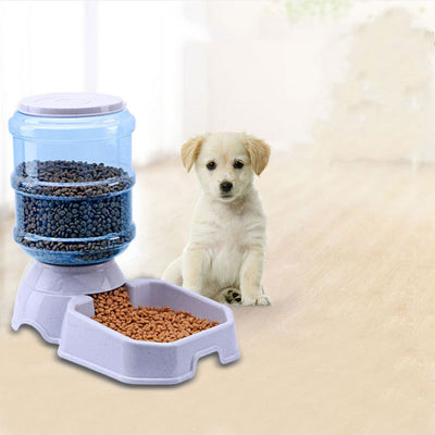 Fuente Automática de Agua y Comedero para Mascotas