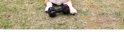 Juguete Mordedor Resistente para Perros Grandes - Limpieza Dental y Entretenimiento - Image 10