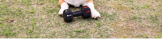 Juguete Mordedor Resistente para Perros Grandes - Limpieza Dental y Entretenimiento - Image 10