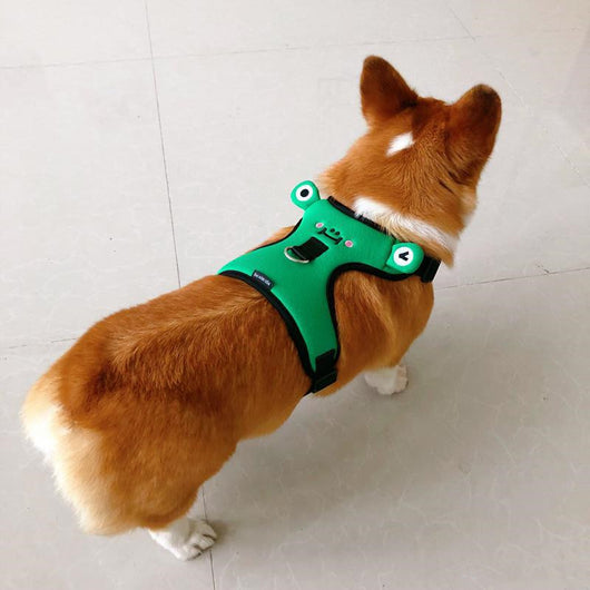 Arnés de Paseo para Perro Pequeño con Chaleco y Cuerda de Tracción - Image 6