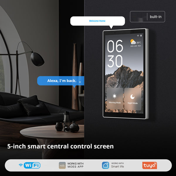 Pantalla Central de Control Inteligente WiFi Graffiti