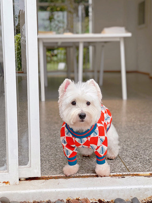 Suéter Abrigador para Perros y Gatos - Diseño Pug Shiba Inu para Invierno - Image 10