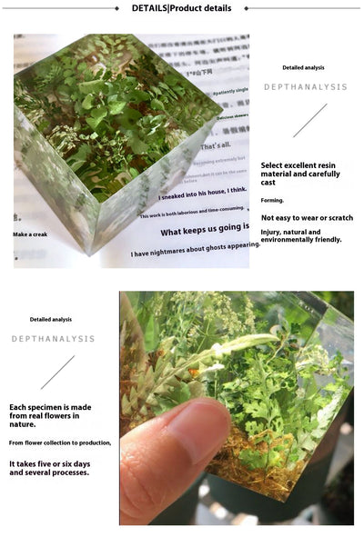 Cubo de Plantas Secas con Flores Deshidratadas y Musgo Natural - Image 10