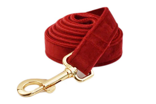 Collar de Tracción Resistente para Perros - Image 26