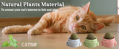 Pelotas de Catnip Adhesivas para Pared - Juguetes Dentales para Gatos - Image 12