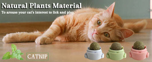 Pelotas de Catnip Adhesivas para Pared - Juguetes Dentales para Gatos - Image 12