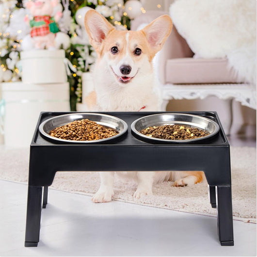 Comedero Elevado para Perros Medianos y Grandes con Protección Cervical Anti-volcado - Image 27