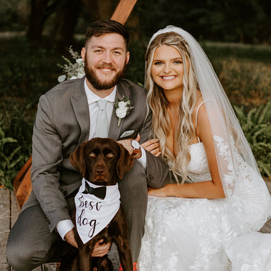 Toalla Absorbente Doble Capa para Mascotas - Temporada de Bodas - Image 5