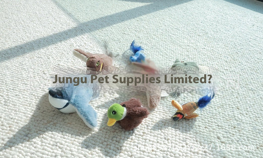 Juguete Interactivo para Gatos - Pájaro Cantarín con Sonido y Movimiento Automático - Image 24