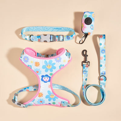 Cuerda Interactiva para Jugar con tu Mascota