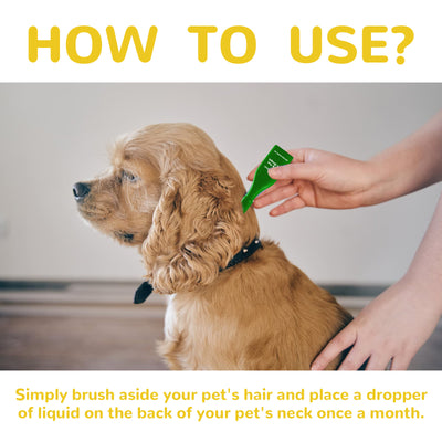 Champú Antiparasitario para Perros y Gatos - Control de Pulgas, Garrapatas y Piojos - Image 10