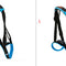 Blue S and L