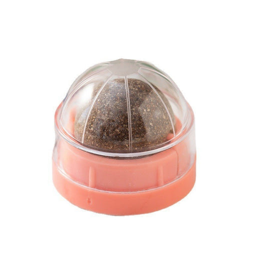 Juguete Interactivo de Menta Gatuna con Limpieza Dental para Gatos - Image 6