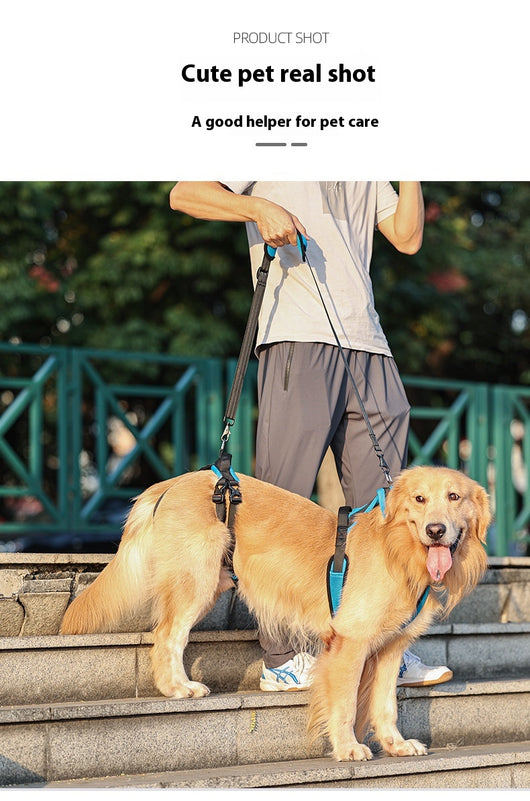Arnés Auxiliar para Perros con Correa de Soporte - Image 9