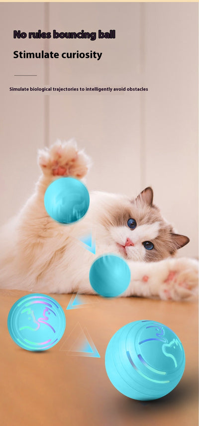 Orange intelligent electric vibration ball pet toy with light blue dog and cat silhouettes, designed for dogs and cats. - Image 12