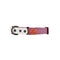 Wisteria Flower Collar S