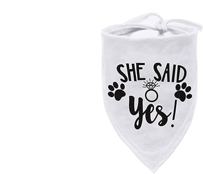 Pañuelo Bandana Triangular para Mascotas - Absorbente y Elegante - Image 6