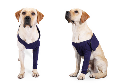 Manga Protectora Antilamido para Recuperación Postoperatoria de Perros - Image 2