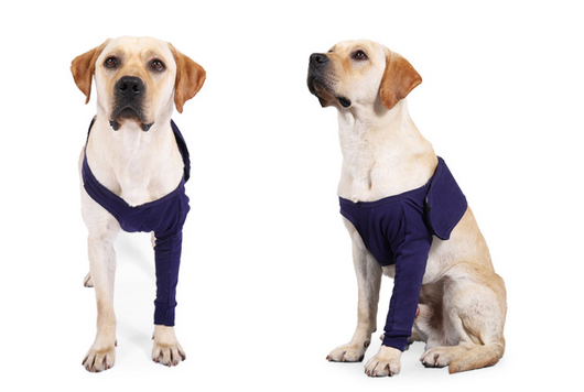 Manga Protectora Antilamido para Recuperación Postoperatoria de Perros - Image 2