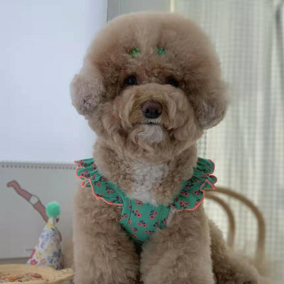 Falda Protectora para Perros Pequeños, Medianos y Grandes - Image 13