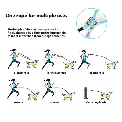 Arnés Pectoral con Cuerda para Perros Pequeños - Teddy y Corgi - Image 10