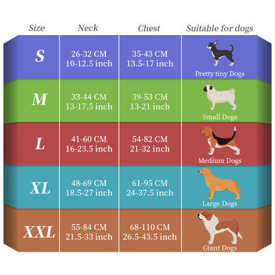 Correa Luminosa Recargable para Perros - Cuerda de Nylon Antiexplosión - Image 4