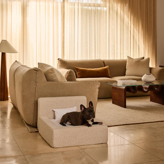 Cama Ortopédica Móvil para Perros y Gatos con Respaldo - Image 9