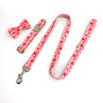 Juego de Collares para Mascotas con Estampado Sweetheart Estilo INS - Image 8
