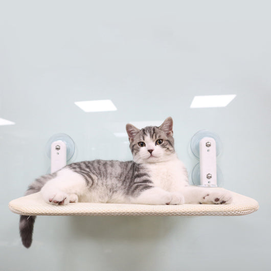 Hamaca Felina para Ventana con Ventosas - Uso Todo Año
