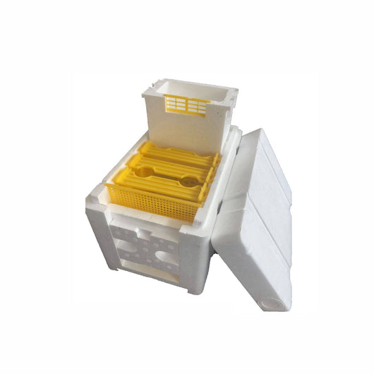 Kit Profesional de Herramientas para Reproducción y Polinización de Abejas Reinas - Image 10