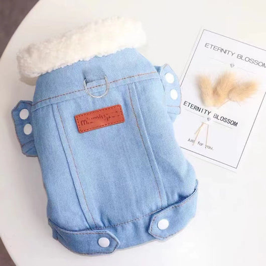 Abrigo Acolchado de Borrego para Chihuahua - Ropa Térmica para Perros Pequeños - Image 11
