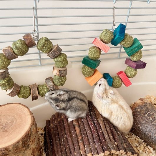 Juguete Mordedor Totoro para Hamster, Conejo y Cobaya - Bola de Paja y Rama de Manzano