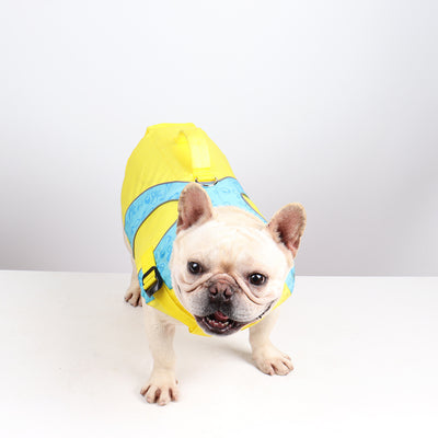 Chaleco Salvavidas para Perros con Contraste de Colores Brillantes - Image 4