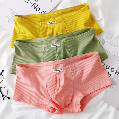 Calzoncillos Boxer Hombre Algodón 4 Estaciones Universal