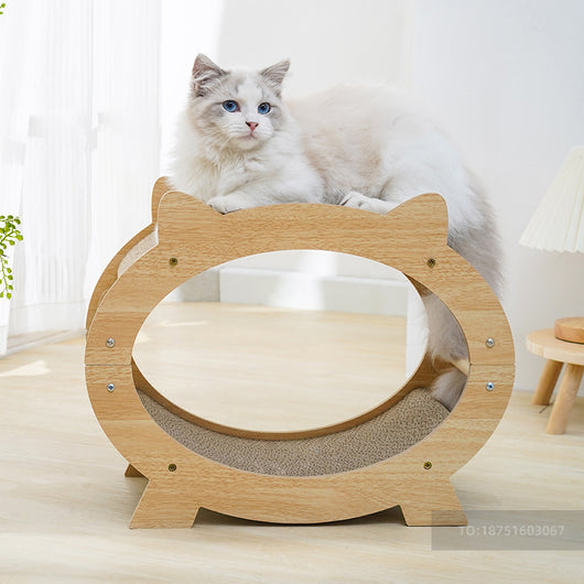 Rascador para Gatos Resistente sin Polvo - Alivio y Bienestar Felino