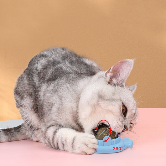 Orange carrot-shaped cat toy with a clear dome holding a rotating catnip ball, next to its white packaging box. - Image 24